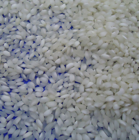 non-basmati3