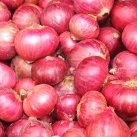 onion