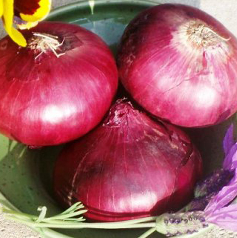 onion3